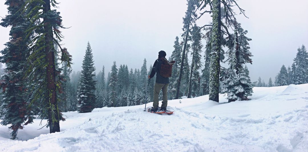 Skiing in the snow Photo by Juan Arreguin on Unsplash