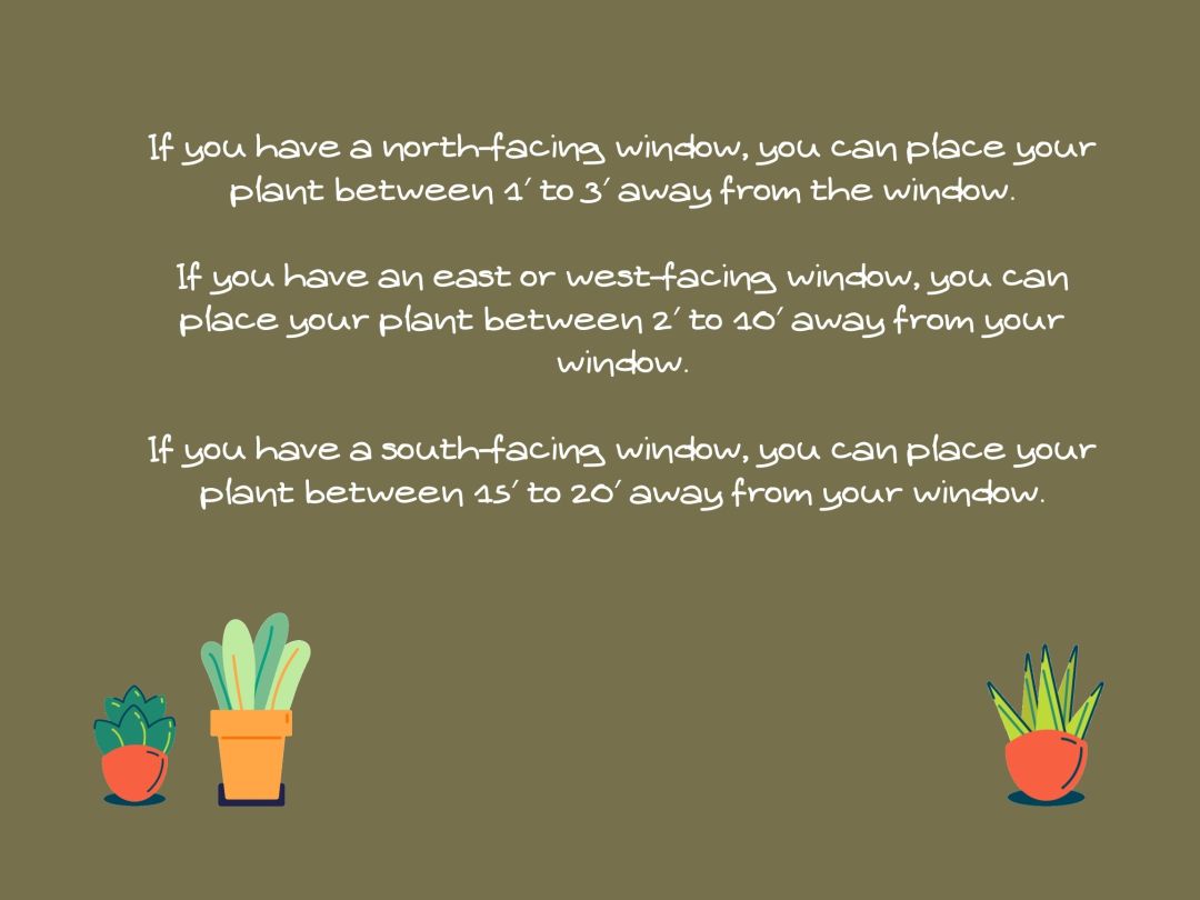 plant advice based on direction