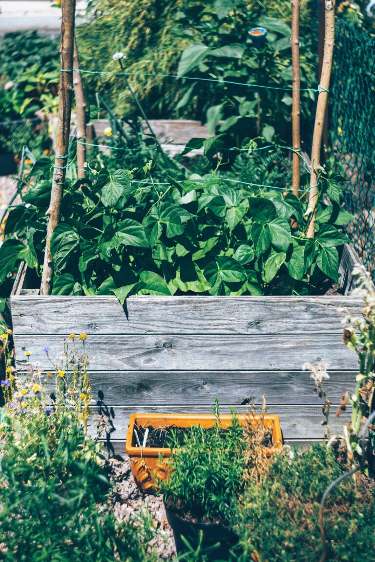 Photo by Markus Spiske via Unsplash raised bed vegetable garden