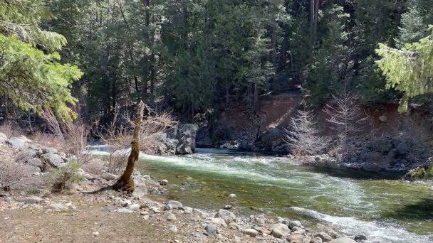 wide river thats emerald color surrounded by trees